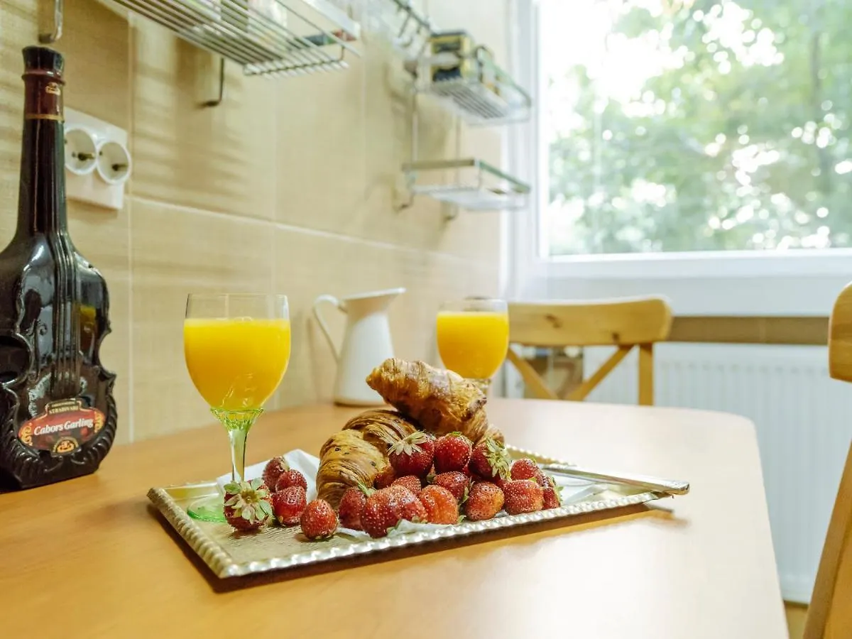 Old Town Historic Apartment With Backyard Mini Park Bucharest